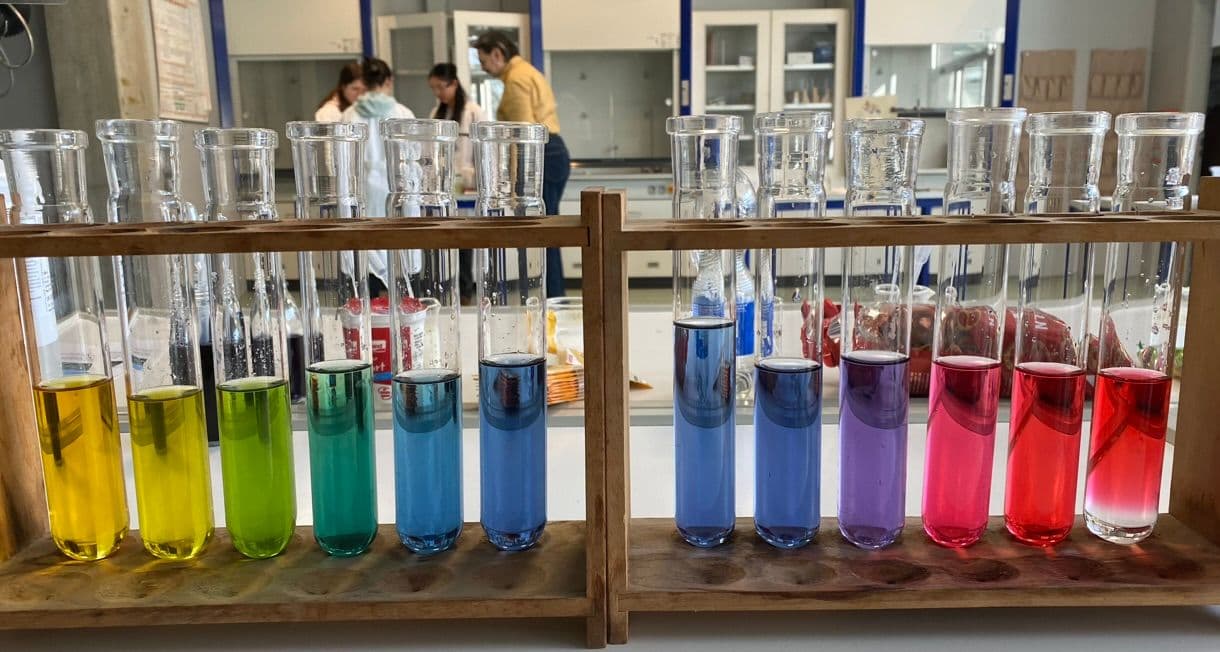 a row of test tubes filled with different colored liquids in a laboratory .