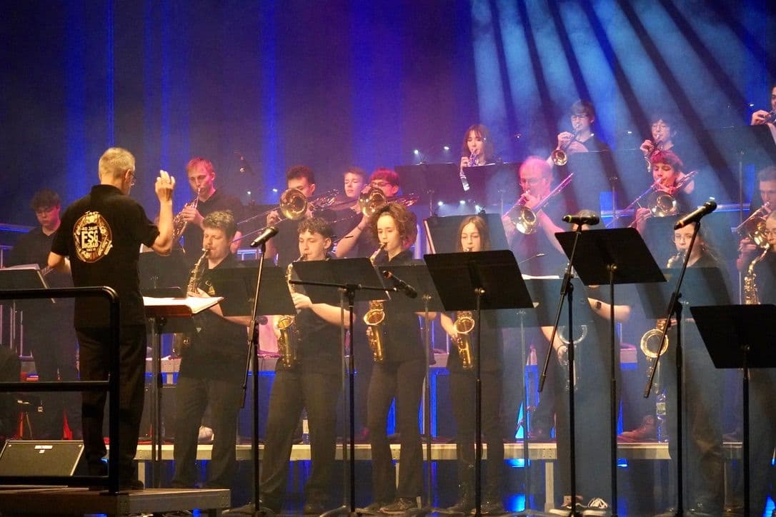 a large group of people are playing instruments on a stage .