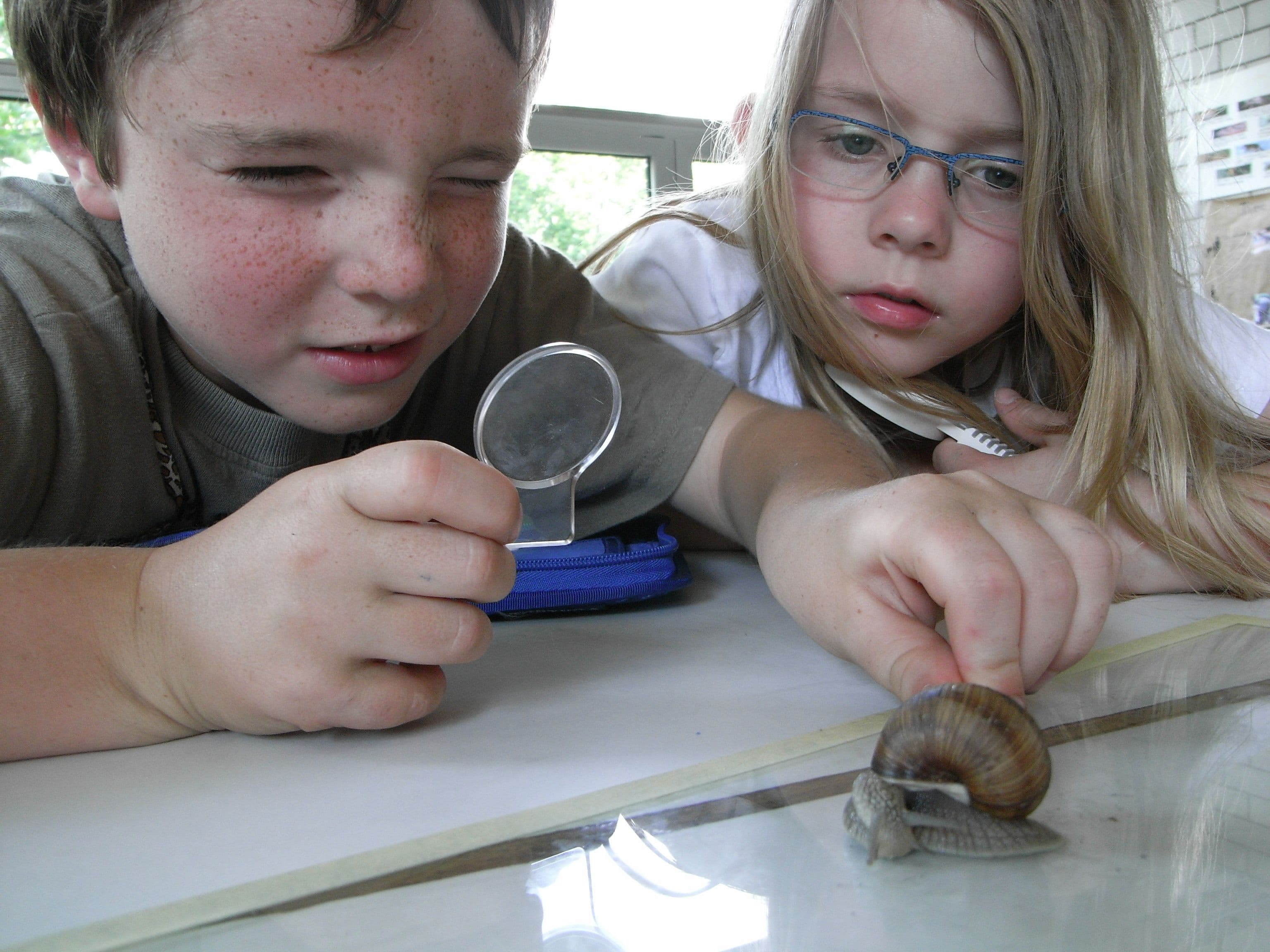 Zwei Kinder beobachten eine Schnecke mit einer Lupe