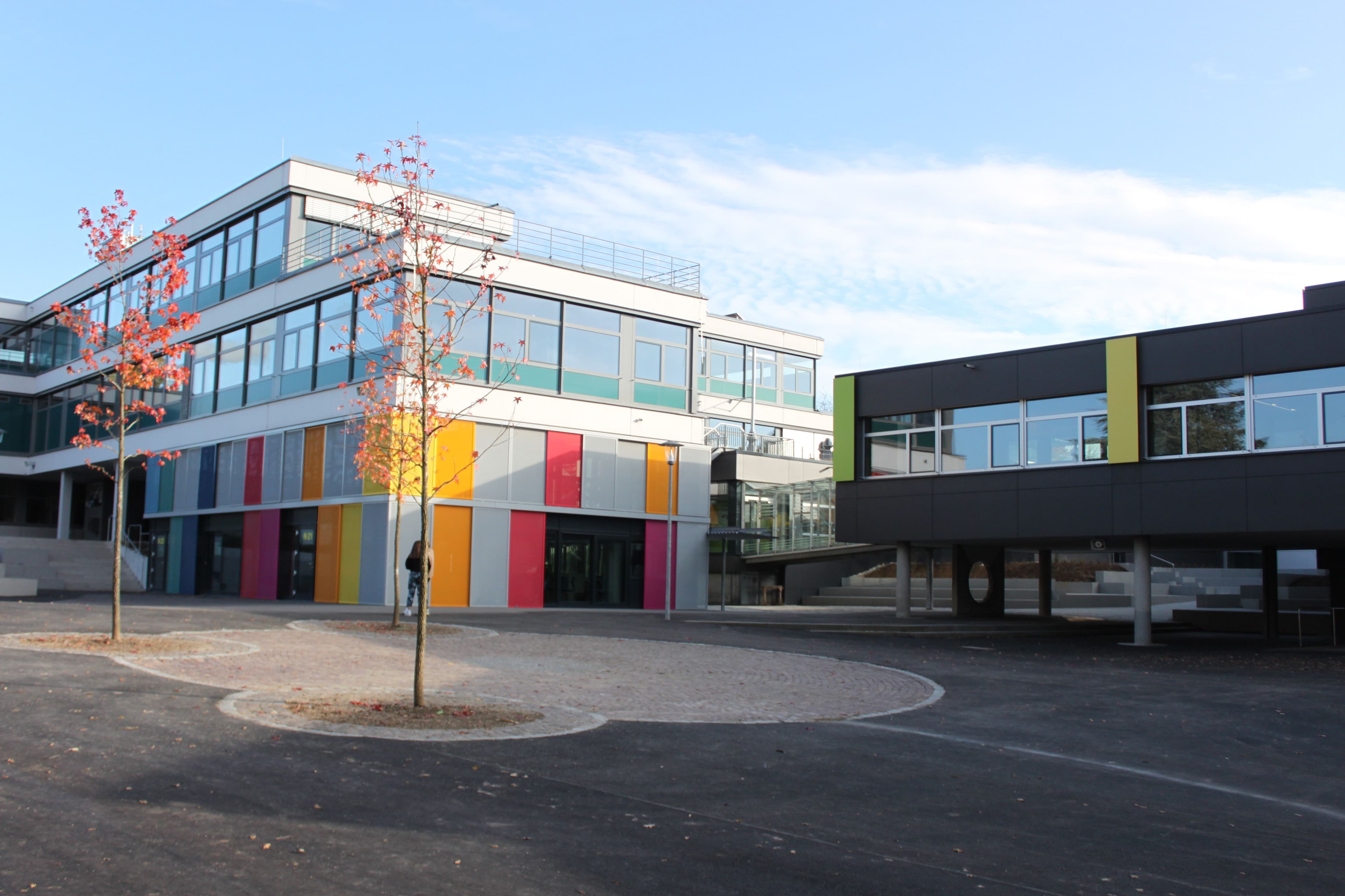 a large building with a lot of windows and a tree in front of it .